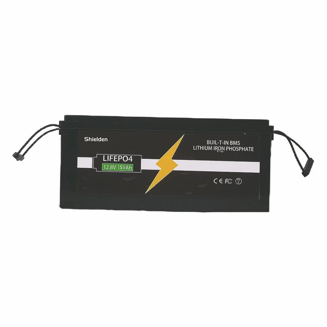 LifePO4 Battery